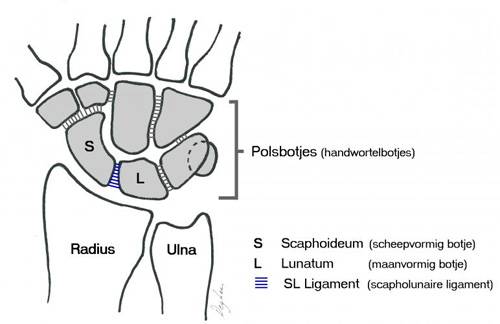 Medihand